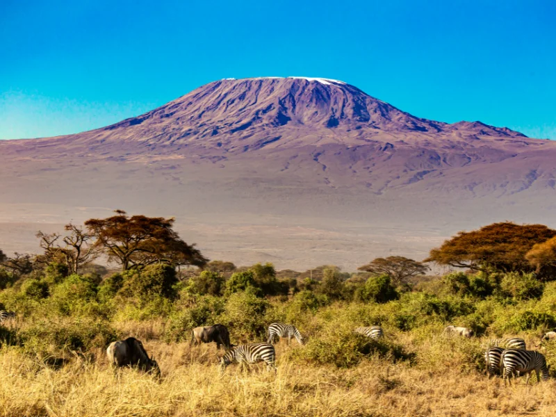 Kilimanjaro - Best Uganda Tours